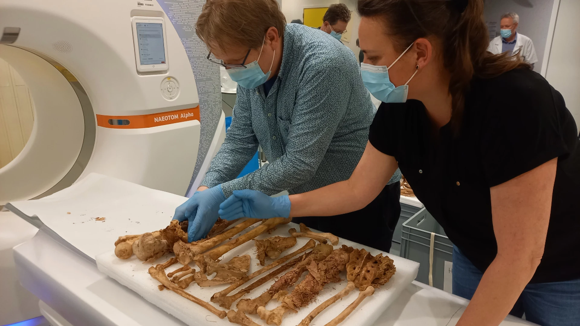 Hoofdafbeelding voor artikel DNA-onderzoek moet duidelijkheid…