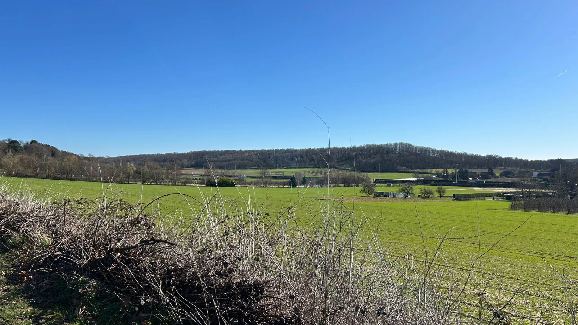 Hoofdafbeelding voor artikel Buurtbewoners roepen op bezwaren…