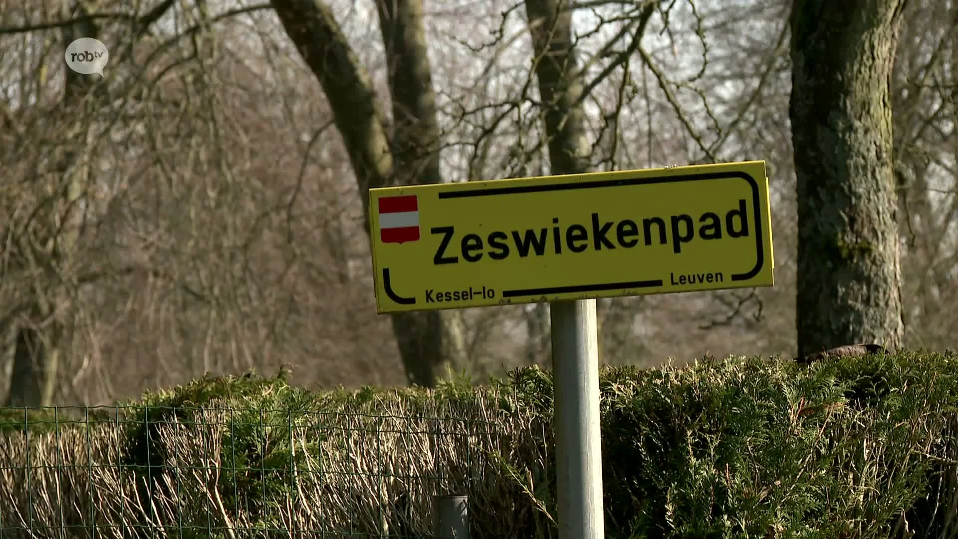 Hoofdafbeelding voor artikel Stad Leuven maakt Jan Vranckxweg…