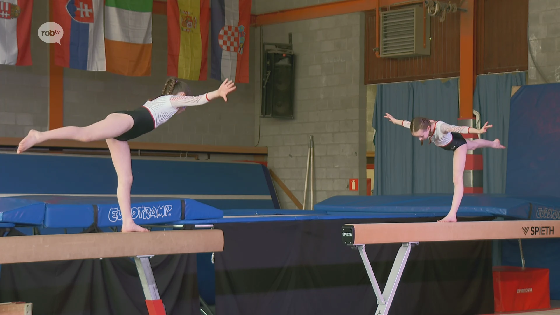 Hoofdafbeelding voor artikel Zichemse turnvereniging voert…