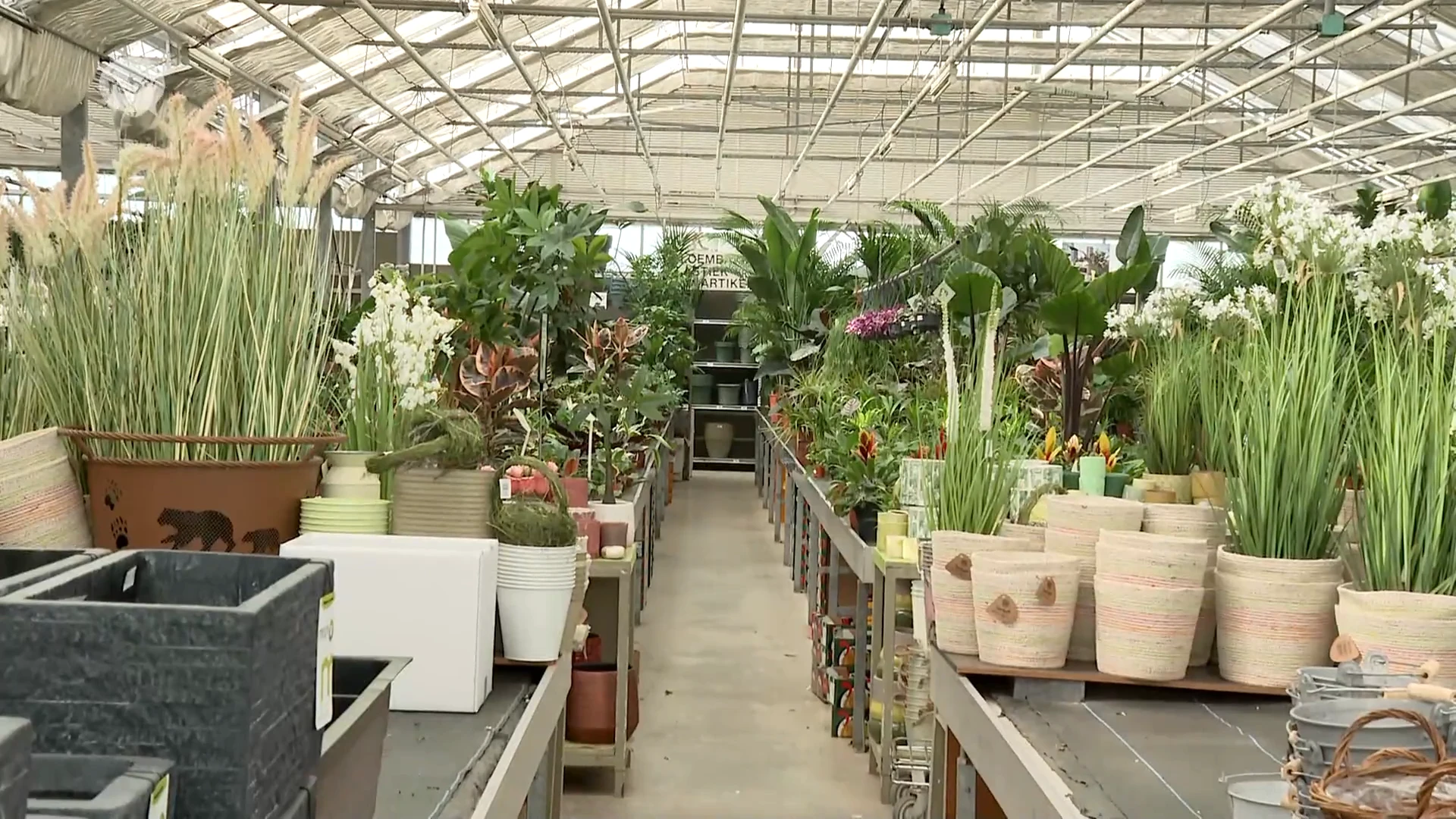 Hoofdafbeelding voor artikel Warme temperaturen zorgen…