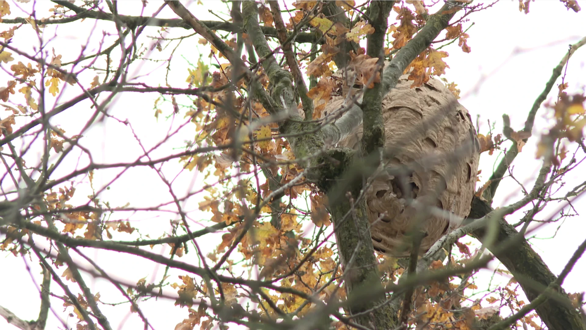 Hoofdafbeelding voor artikel Infoavonden in Herent en Oud-Heverlee…