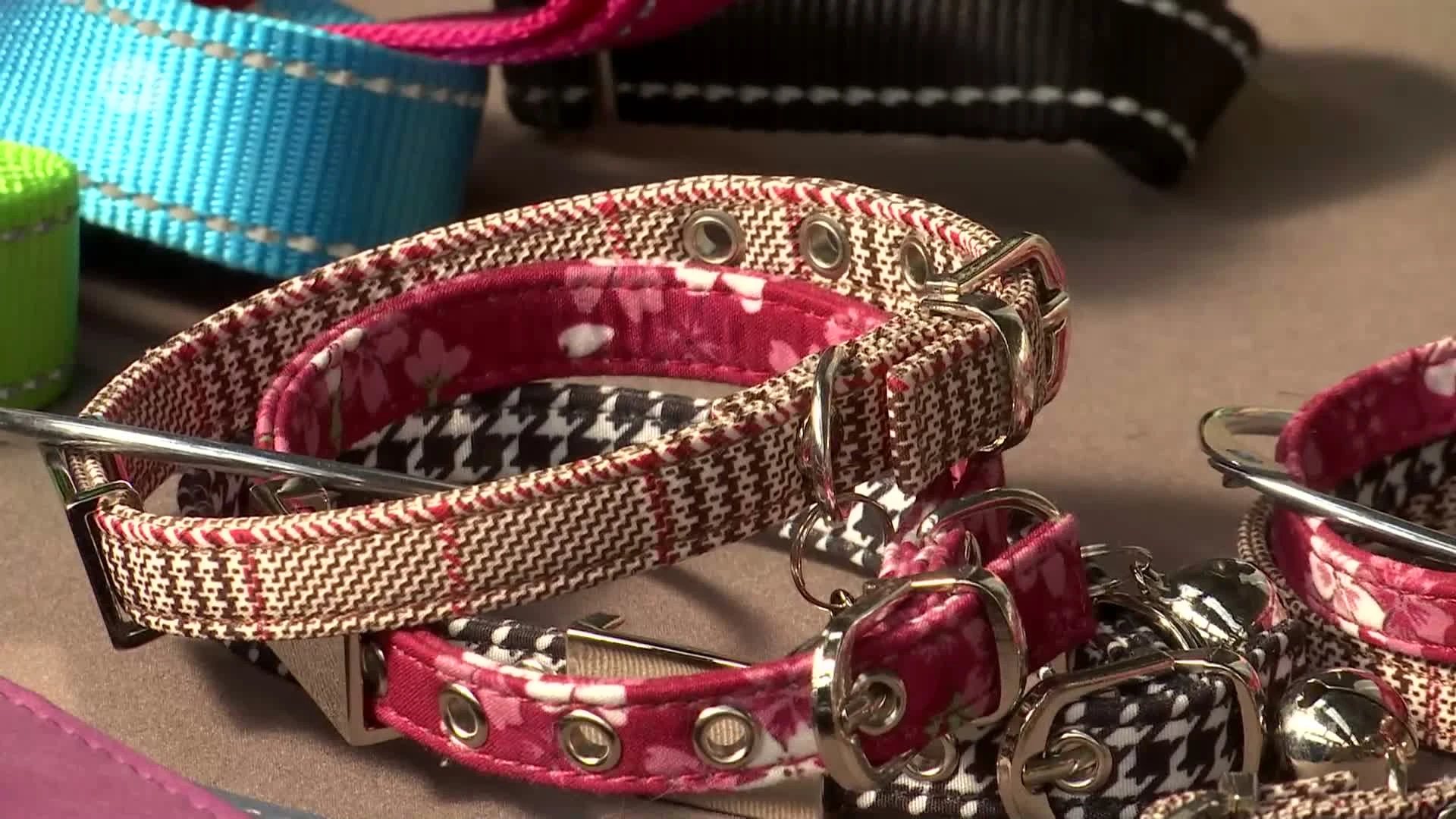 Hoofdafbeelding voor artikel Allereerste Hondenmarkt in…