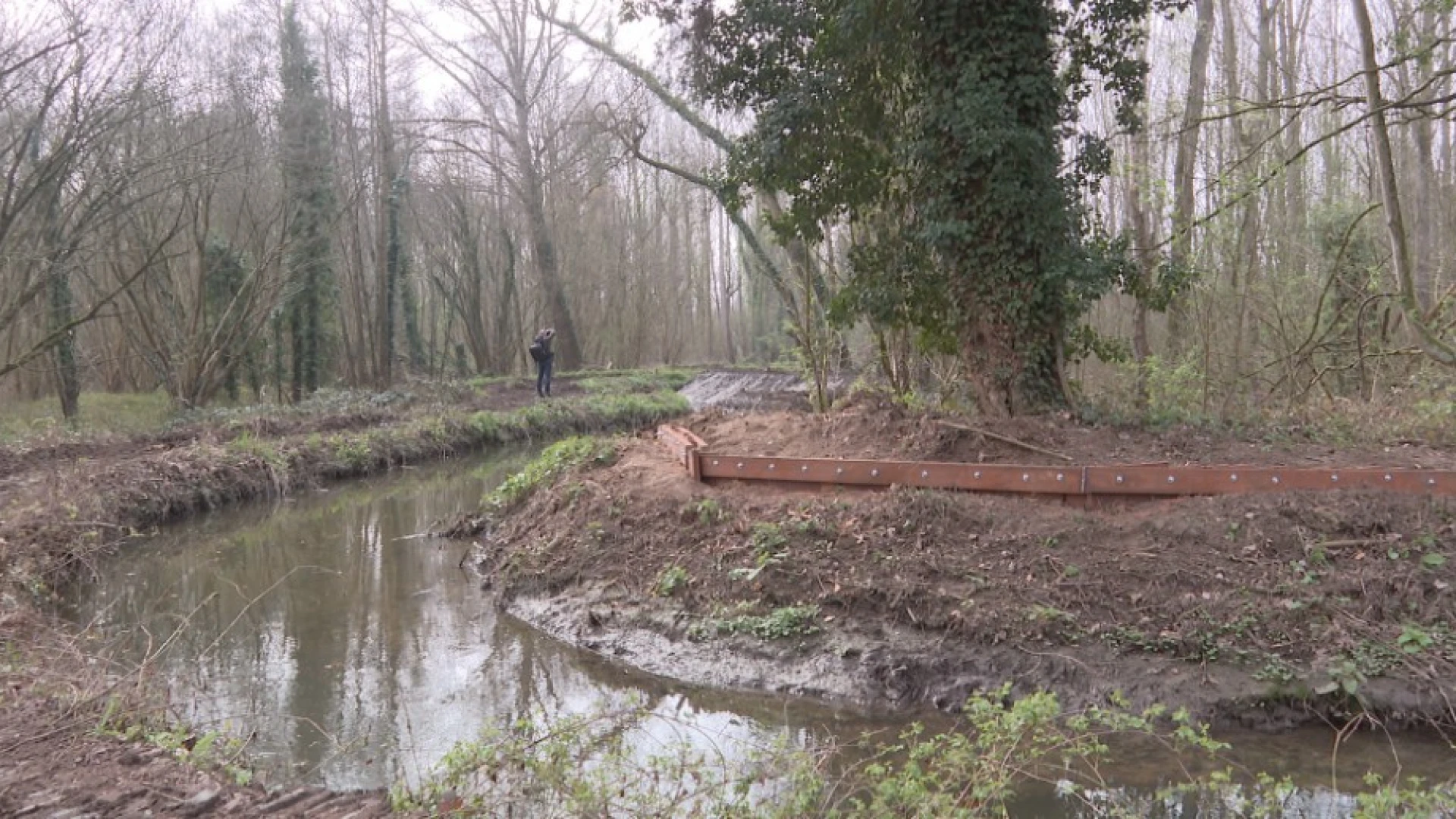 Hoofdafbeelding voor artikel Oeverdijk van Molenbeek in…