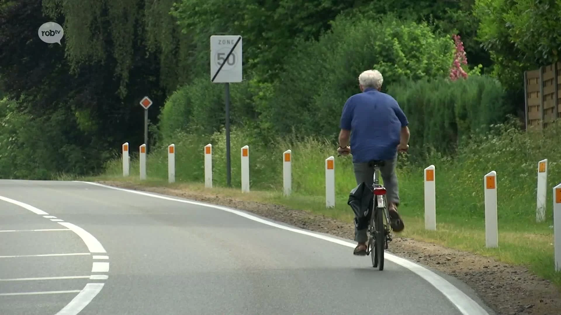 Hoofdafbeelding voor artikel Meerderheids- en oppositiepartijen…