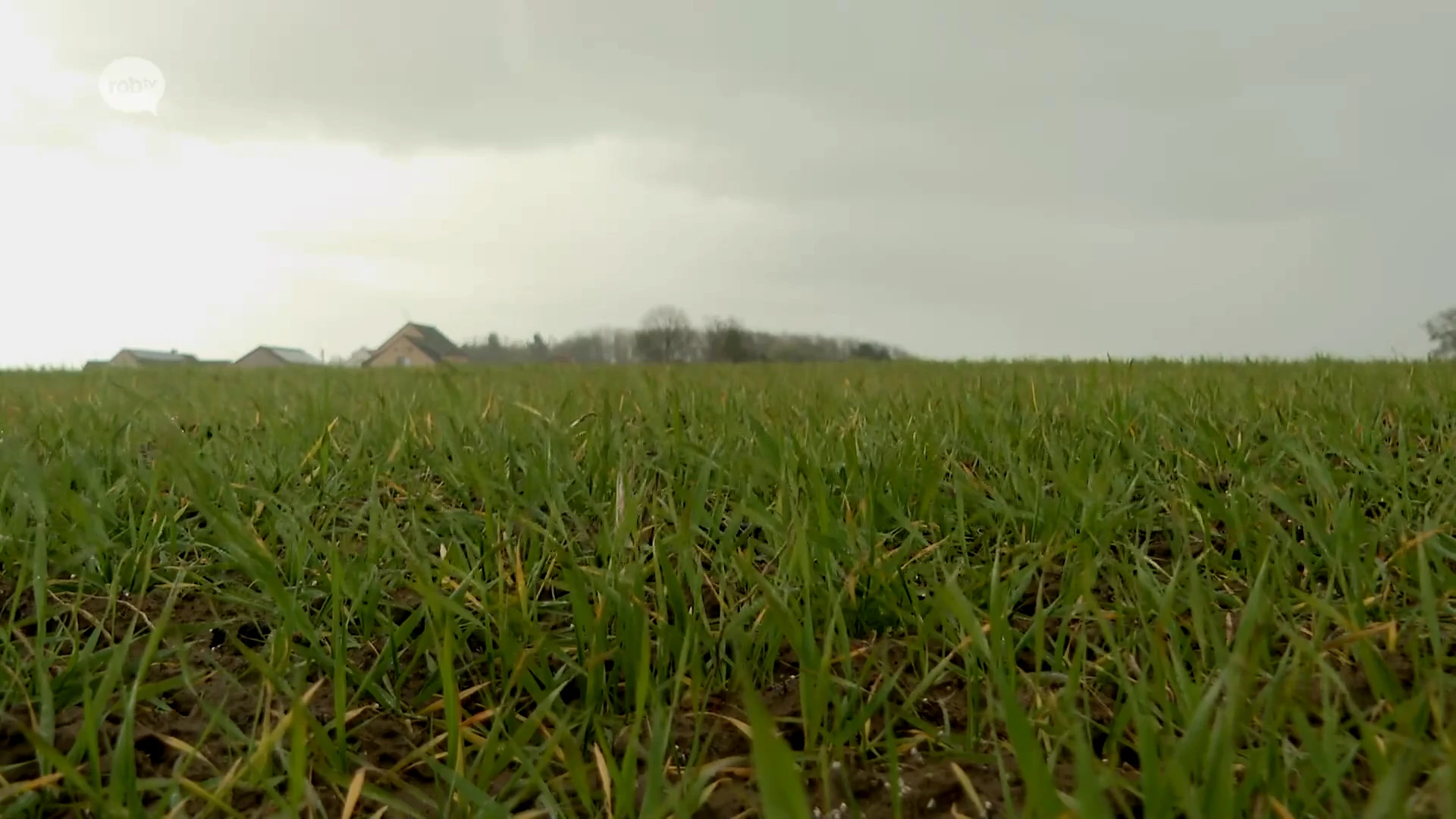 Hoofdafbeelding voor artikel Vier jaar na aankoop gronden…