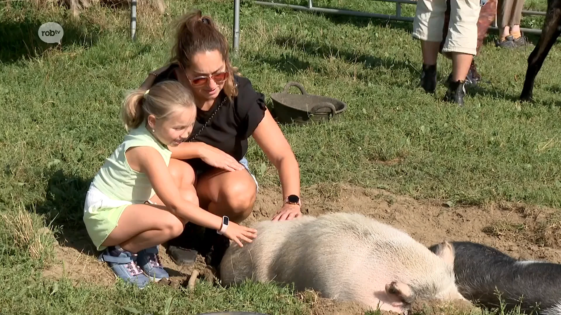 Hoofdafbeelding voor artikel Forrest & Friends in Diest…