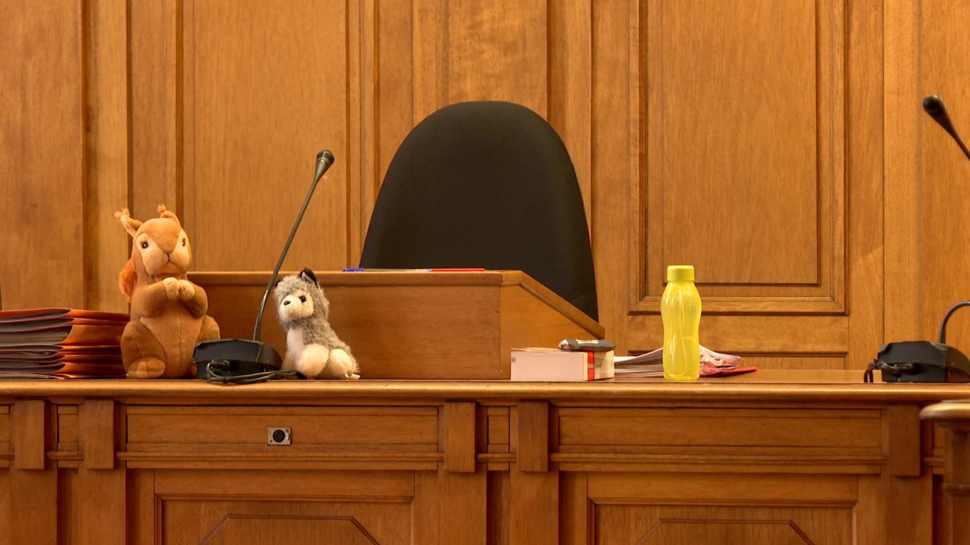 Hoofdafbeelding voor artikel Uitbater hondenpension uit…