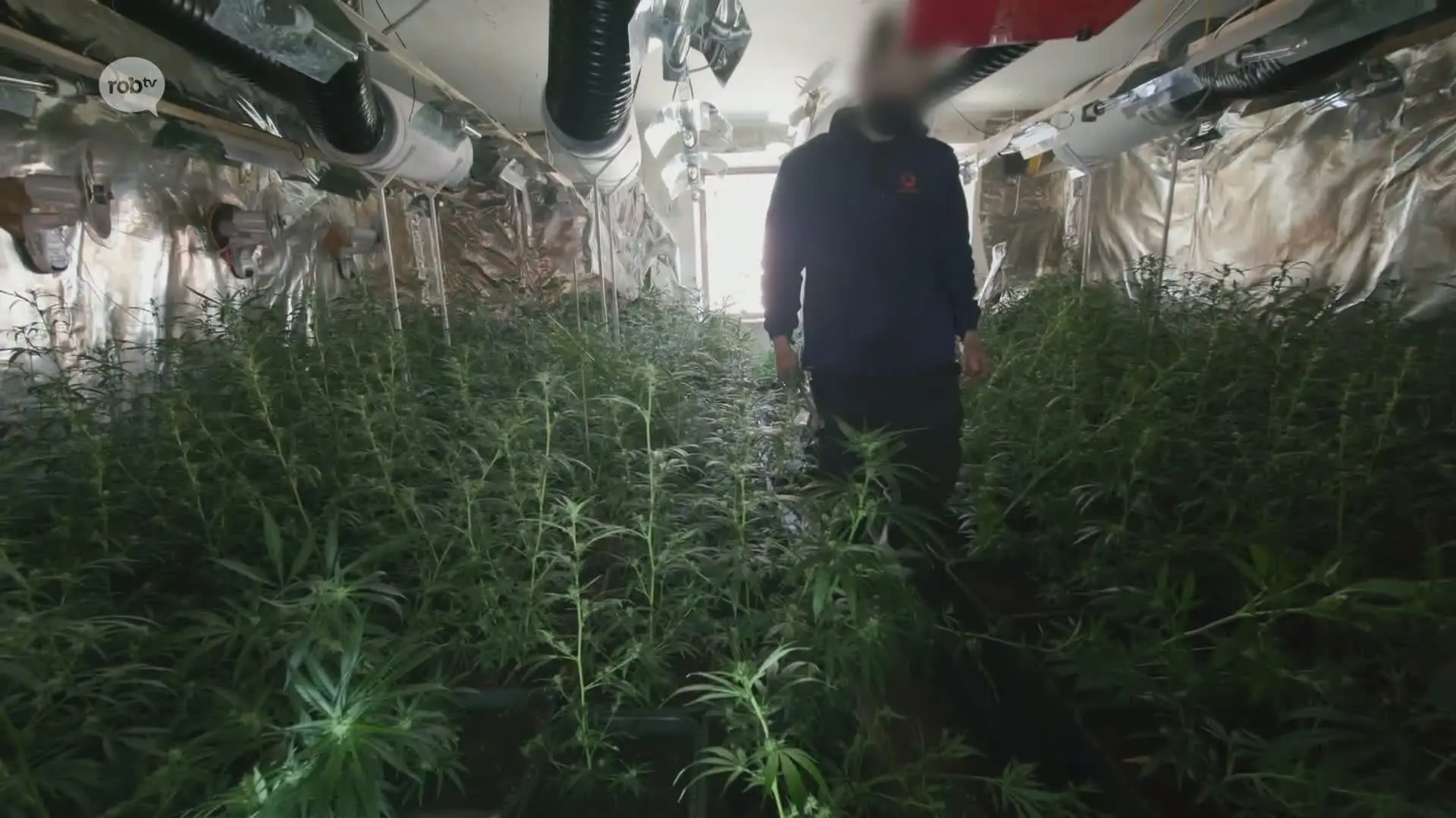 Hoofdafbeelding voor artikel Celstraffen tot 3 jaar voor…