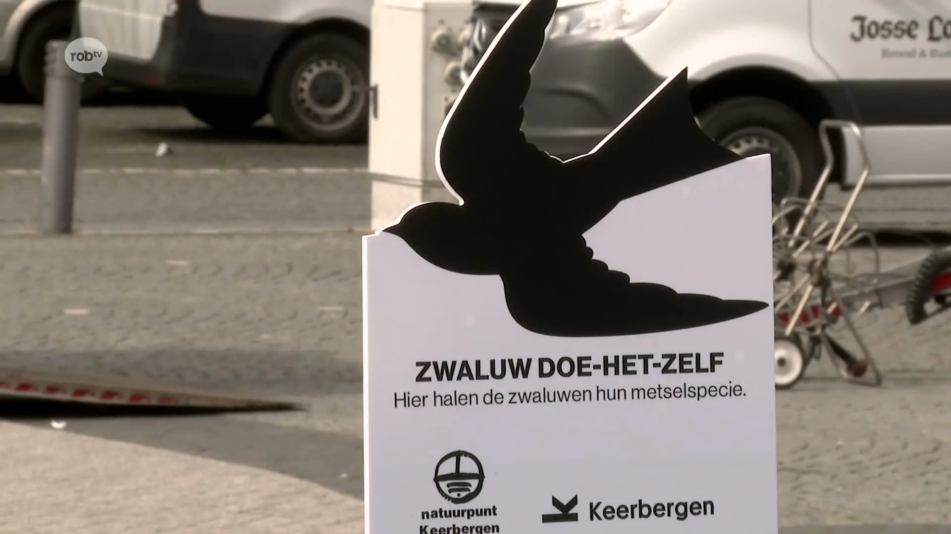 Hoofdafbeelding voor artikel Zwaluw doe-het-zelfbakken…