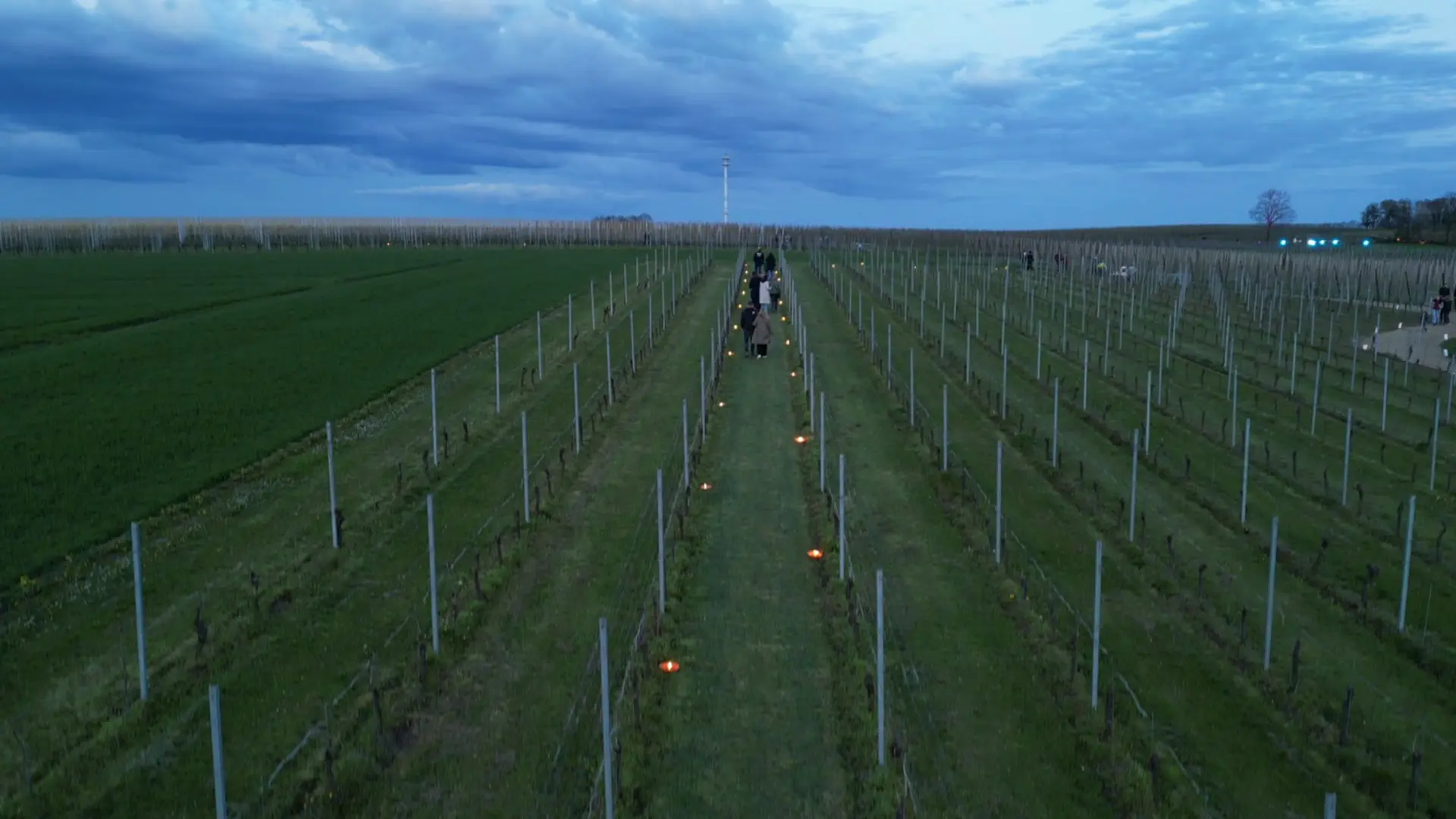 Hoofdafbeelding voor artikel Bloesemmagie vindt vrijdagavond…