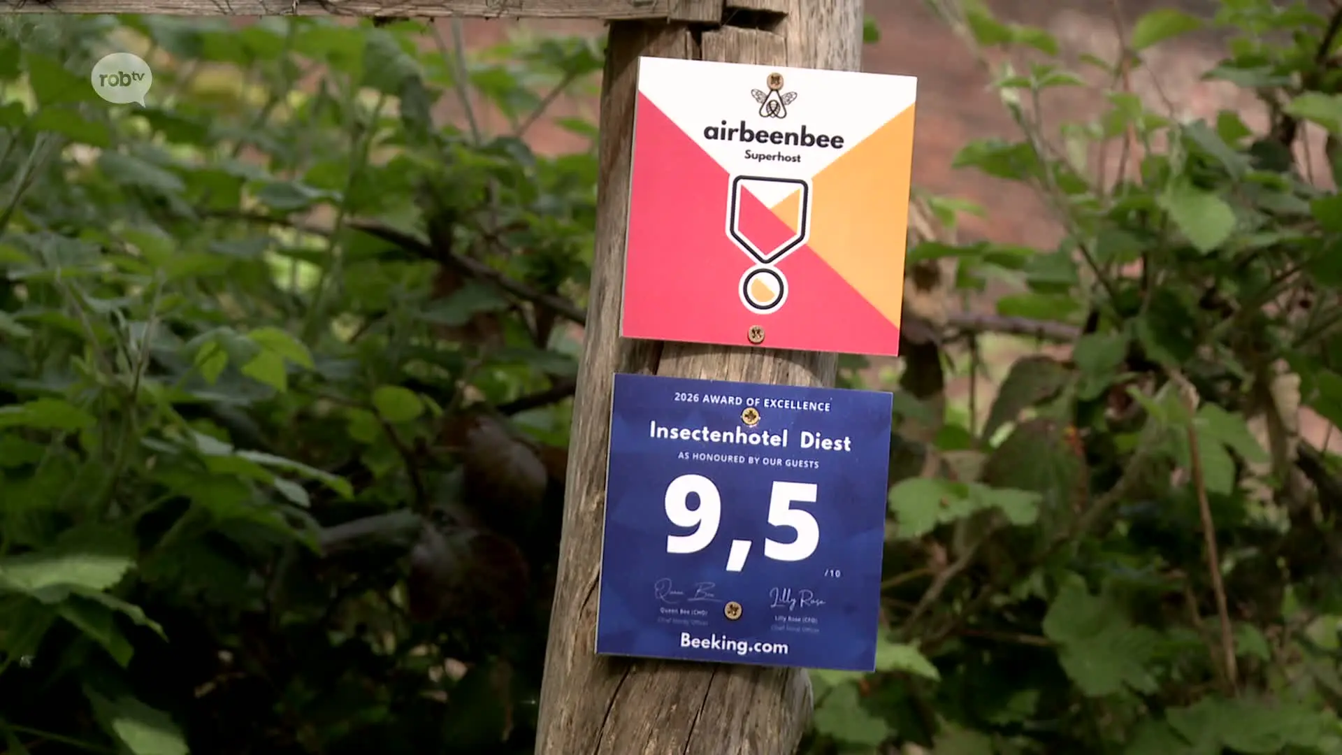 Hoofdafbeelding voor artikel Ik loop in Diest rond... en…