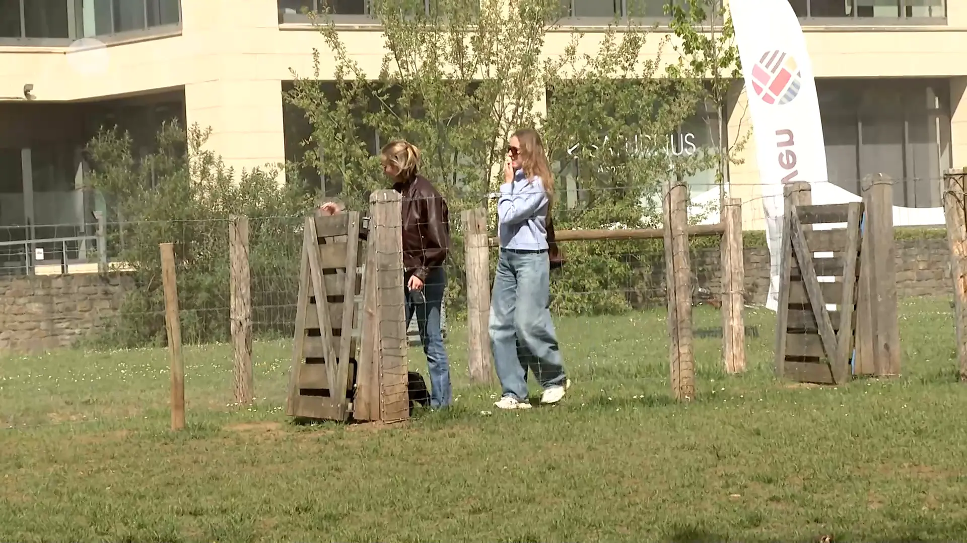 Hoofdafbeelding voor artikel Hondenloopzones Sint-Maartensdal…