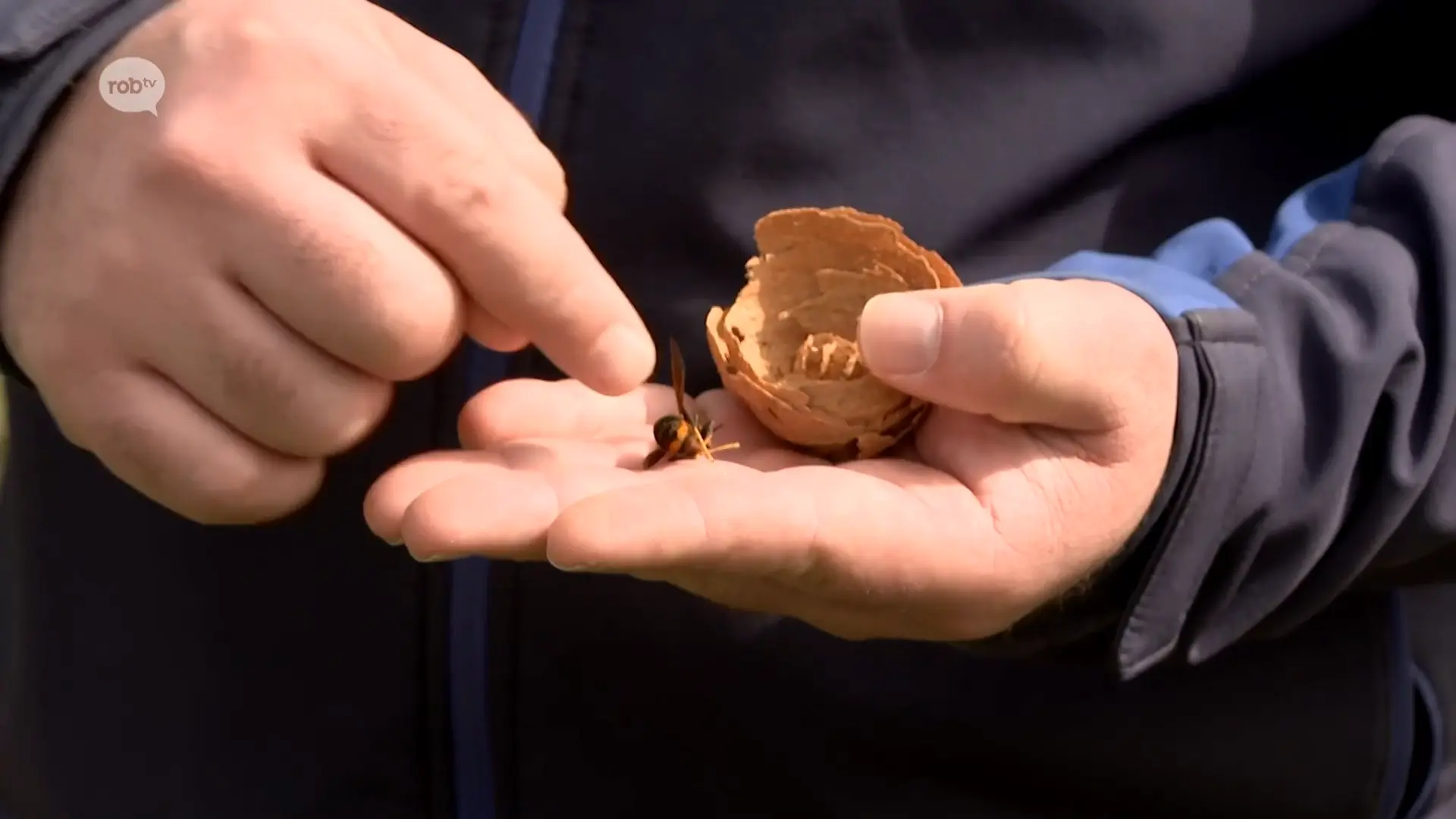 Hoofdafbeelding voor artikel Tienen verlengt samenwerking…