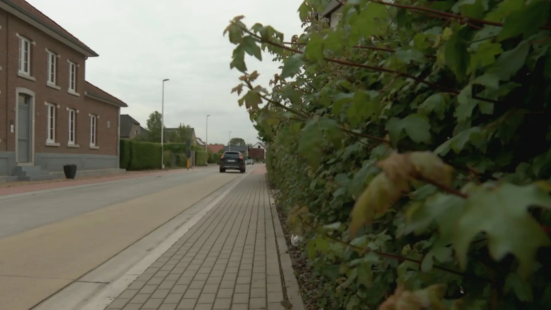 Hoofdafbeelding voor artikel Politie Hageland betrapt meer…