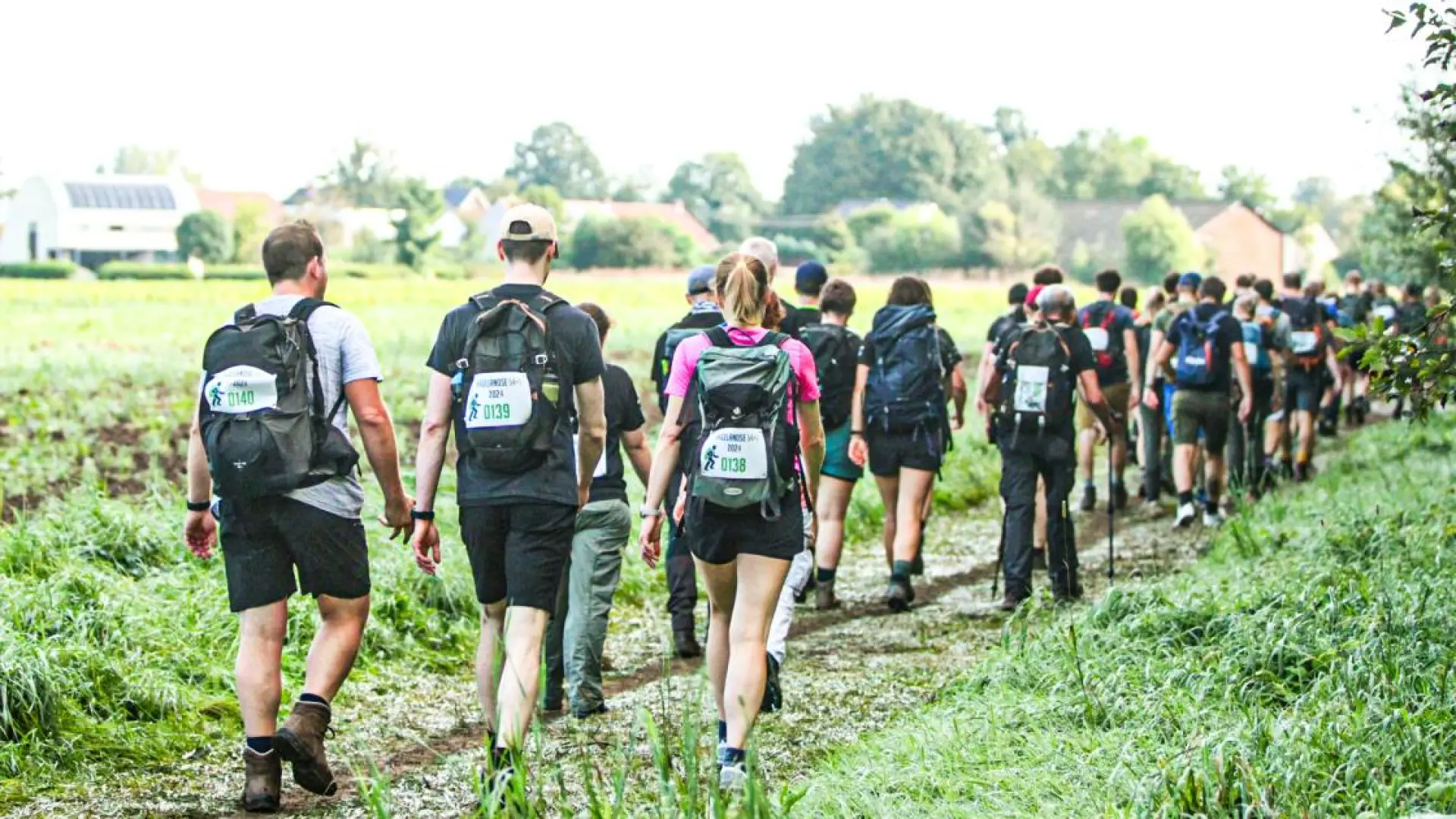 Hoofdafbeelding voor artikel 1.000 wandelaars trotseren…
