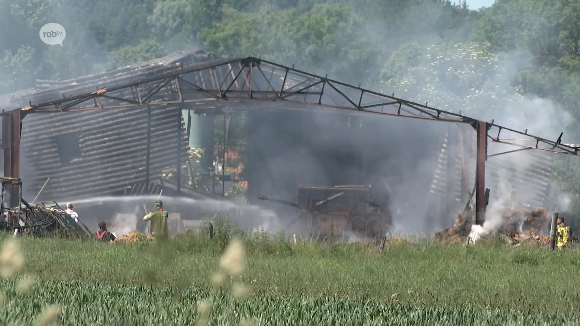 Hoofdafbeelding voor artikel Grote stalbrand in Kortenaken:…