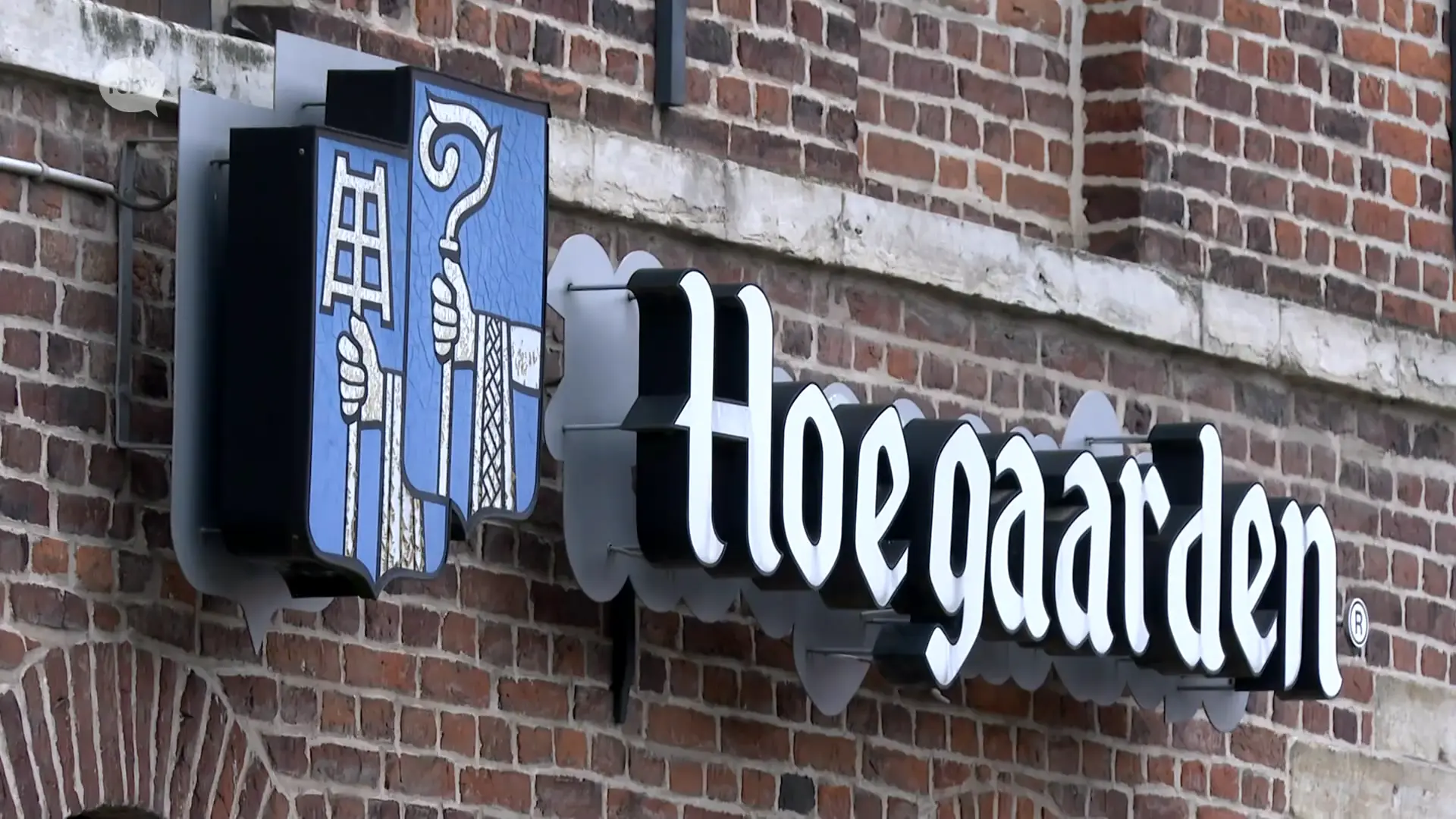 Hoofdafbeelding voor artikel Hoegaarden organiseert deze…