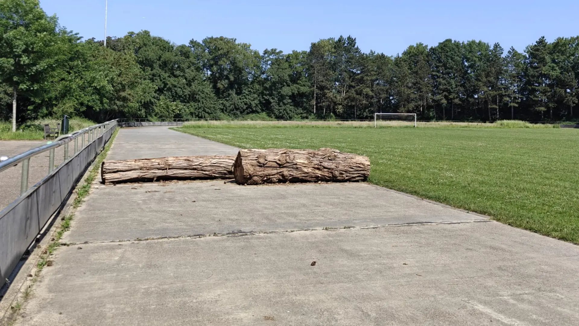 Hoofdafbeelding voor artikel Rolschaatsclub vraagt structurele…