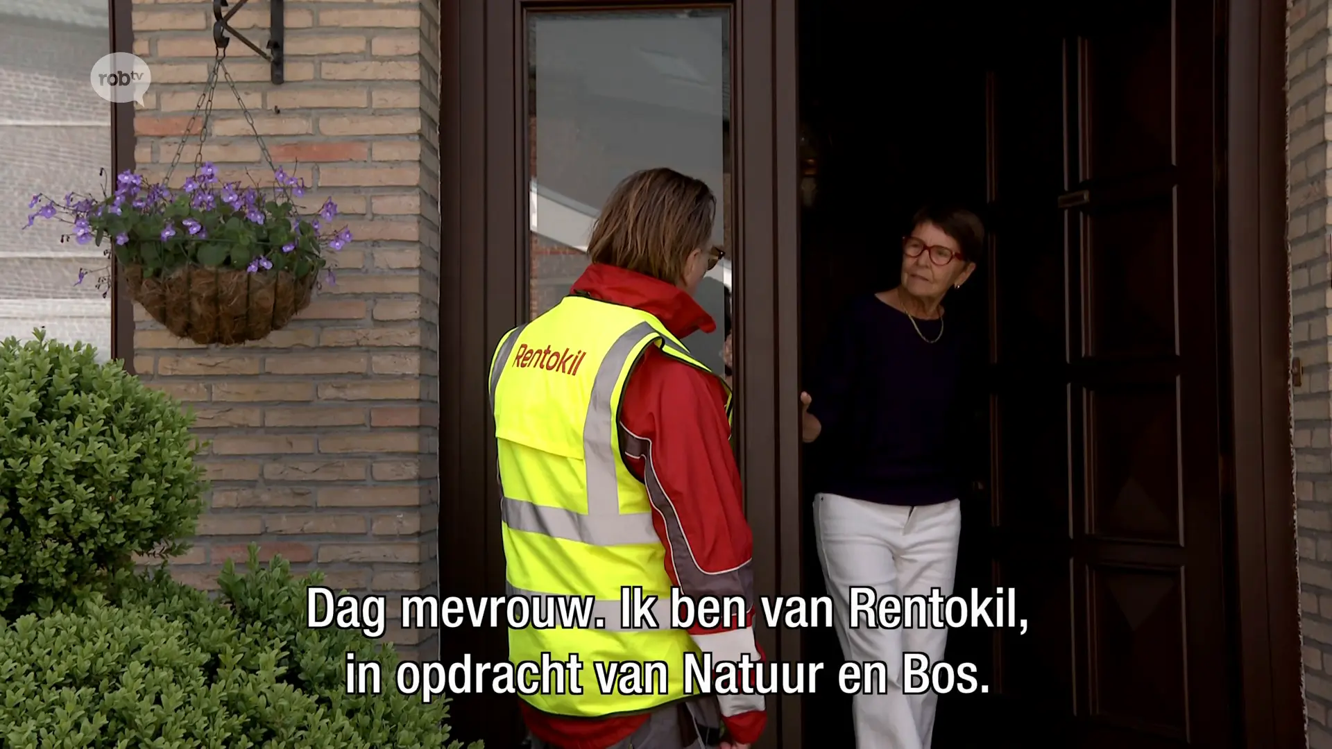 Hoofdafbeelding voor artikel Meeste meldingen voor tijgermug…