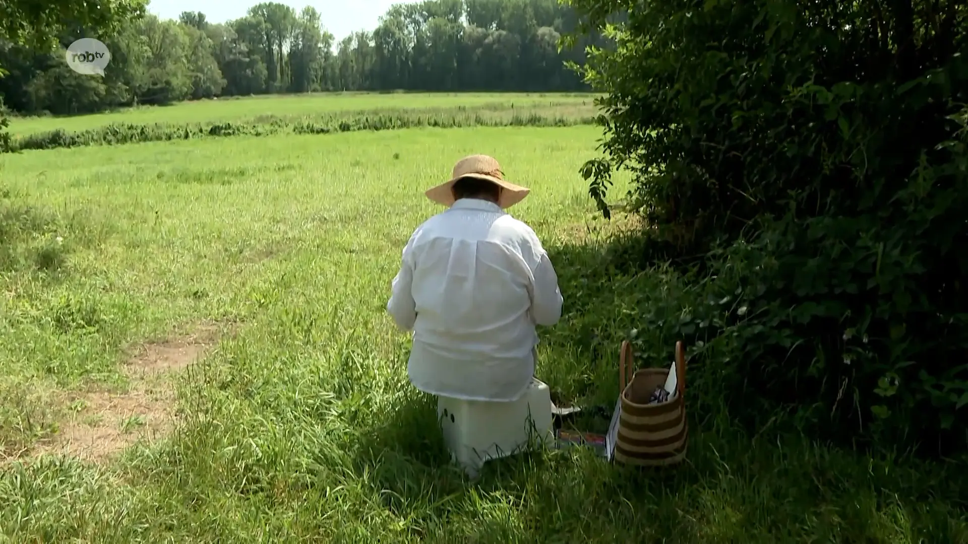 Hoofdafbeelding voor artikel Landschapskunstenaars schilderen…