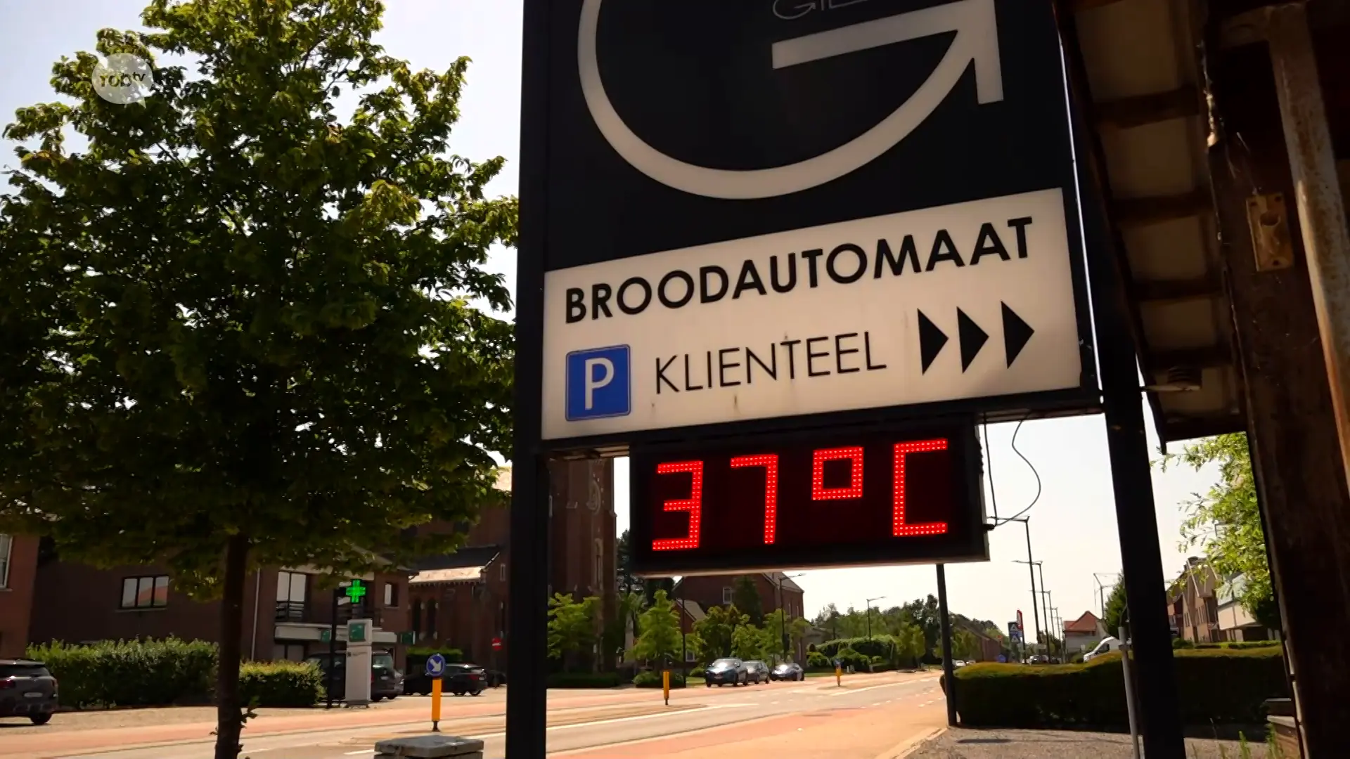 Hoofdafbeelding voor artikel Warmste 24 juni ooit: ondernemers…