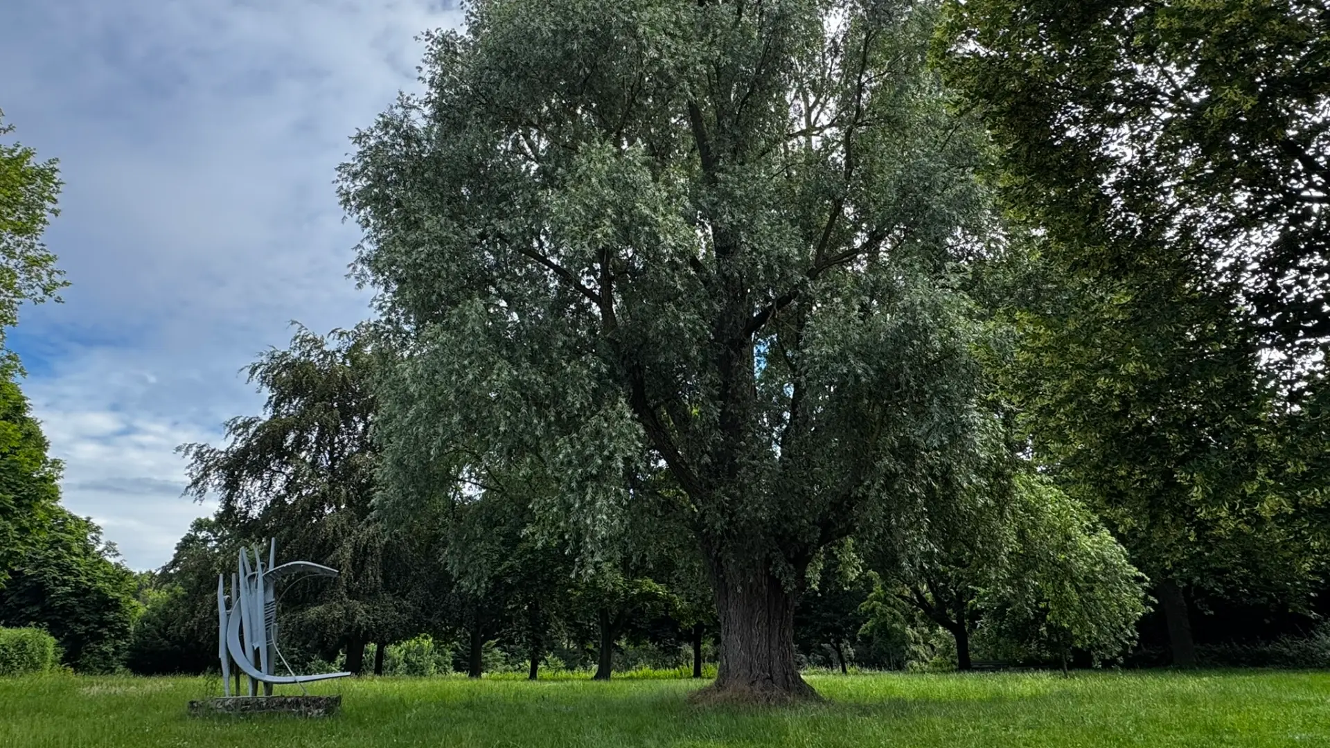 Hoofdafbeelding voor artikel Stad Diest gaat op zoek naar…