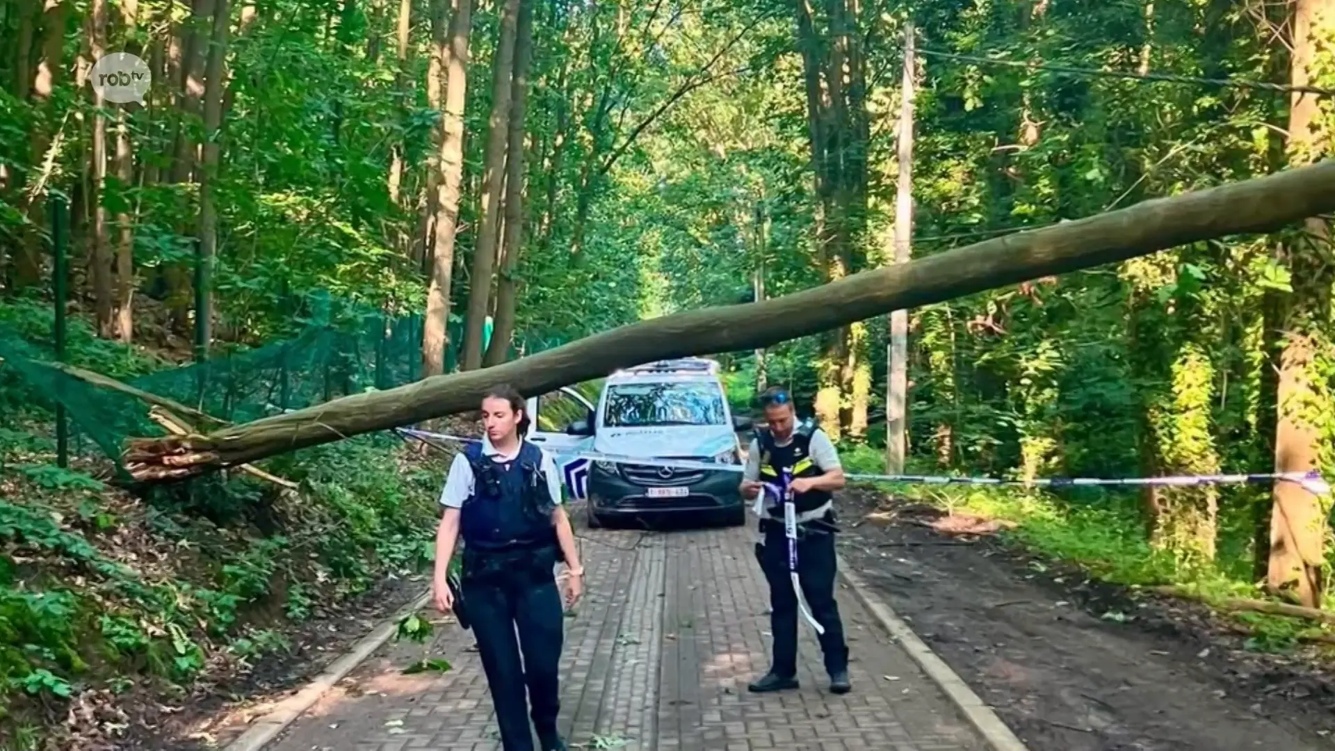 Hoofdafbeelding voor artikel Ruim 350 meldingen over stormschade…