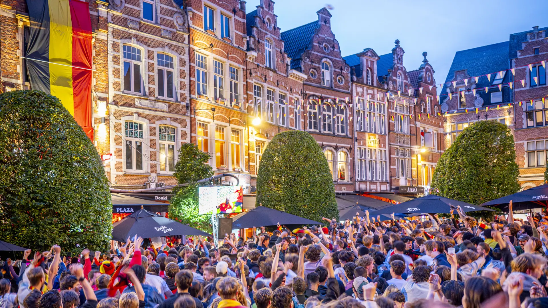 Hoofdafbeelding voor artikel Leuven past programma Beleuvenissen…