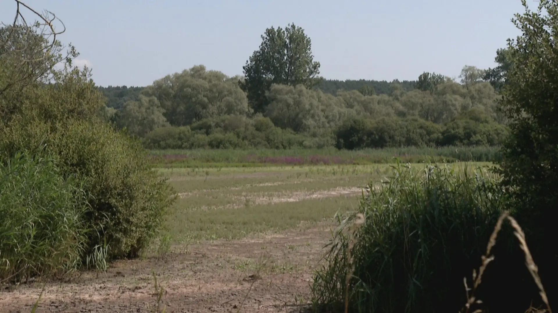 Hoofdafbeelding voor artikel Vijvers van het Grootbroek…
