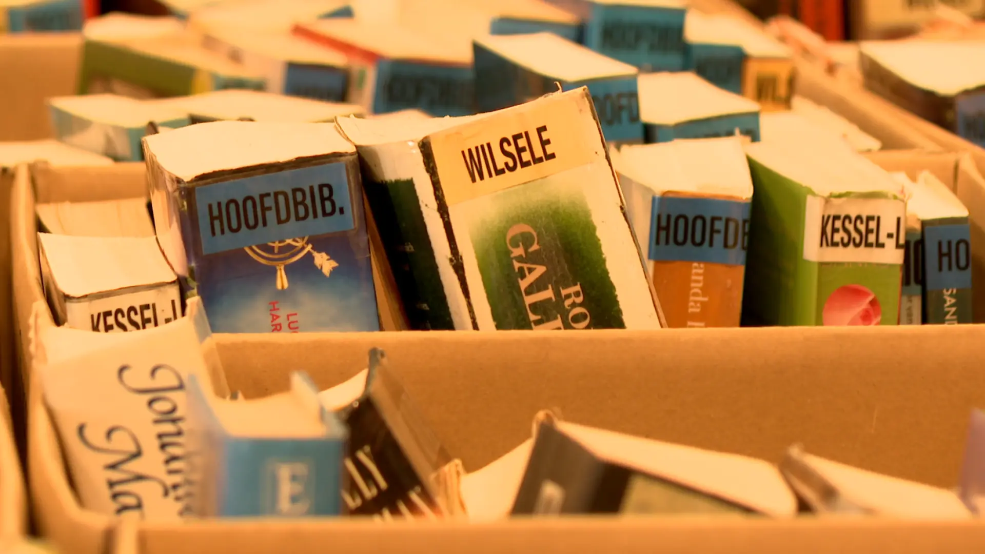 Hoofdafbeelding voor artikel Bib aan huis helpt Leuvenaars…