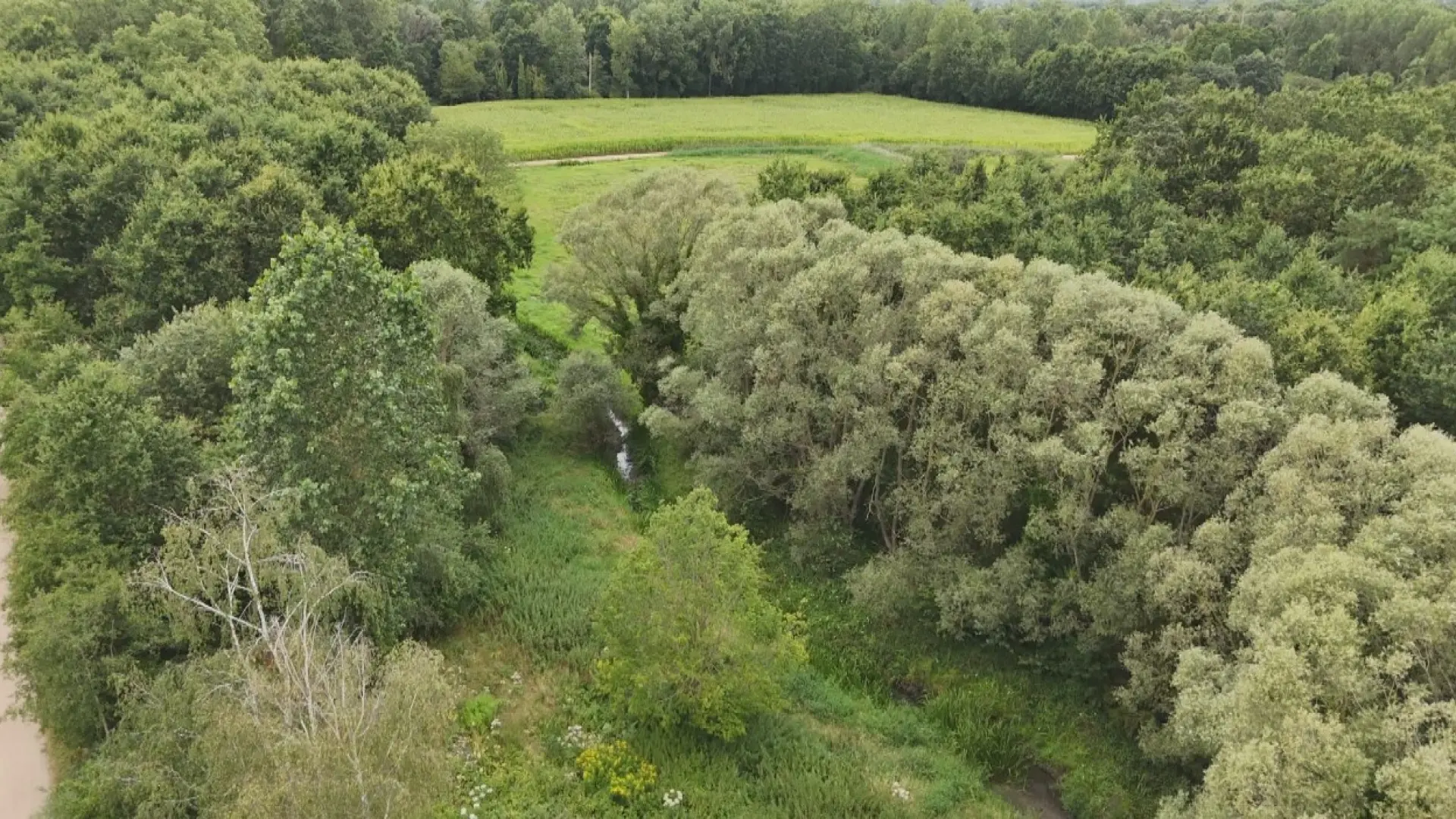 Hoofdafbeelding voor artikel Branden in natuurgebied De…