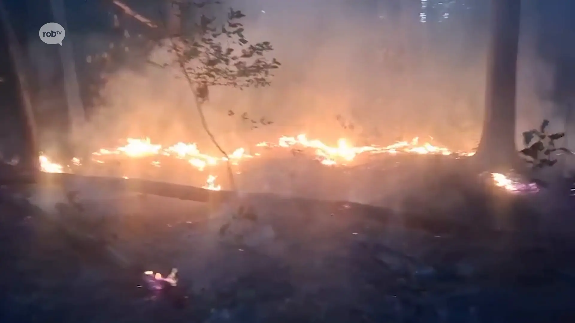 Hoofdafbeelding voor artikel Angstaanjagende beelden: brand…