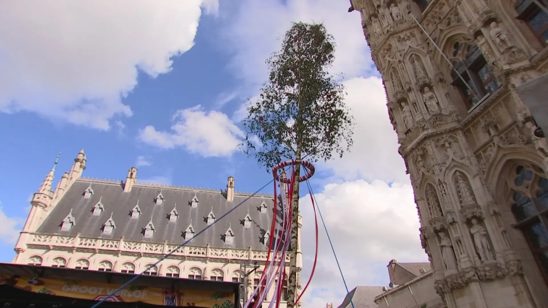 Hoofdafbeelding voor artikel De Leuvense Meyboom verplaatst…