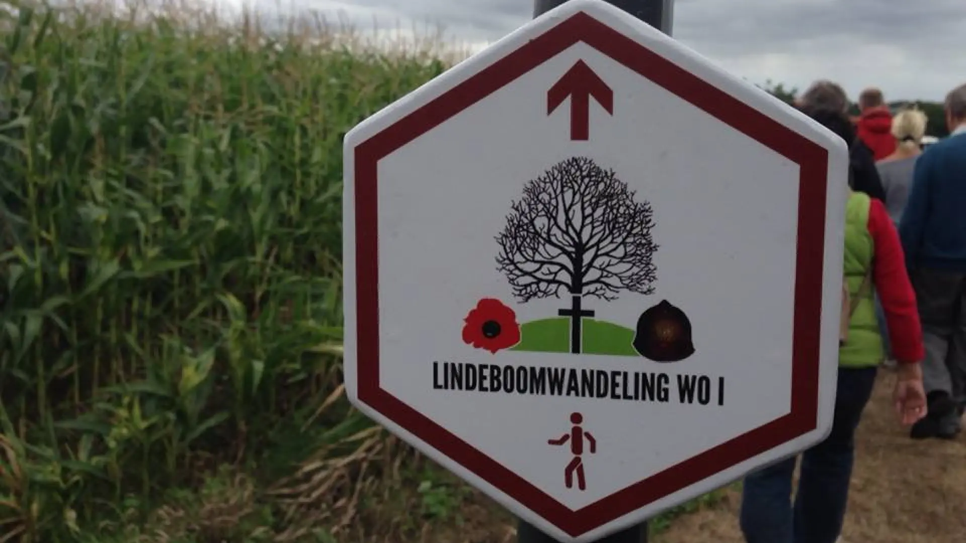Hoofdafbeelding voor artikel Glabbeek herdenkt gevechten…