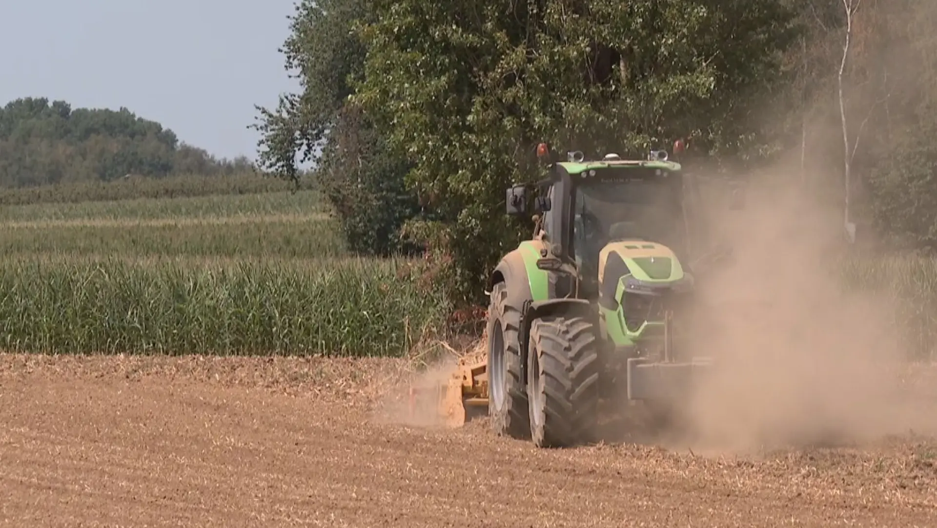 Hoofdafbeelding voor artikel Mogelijks warmste zomer aller…