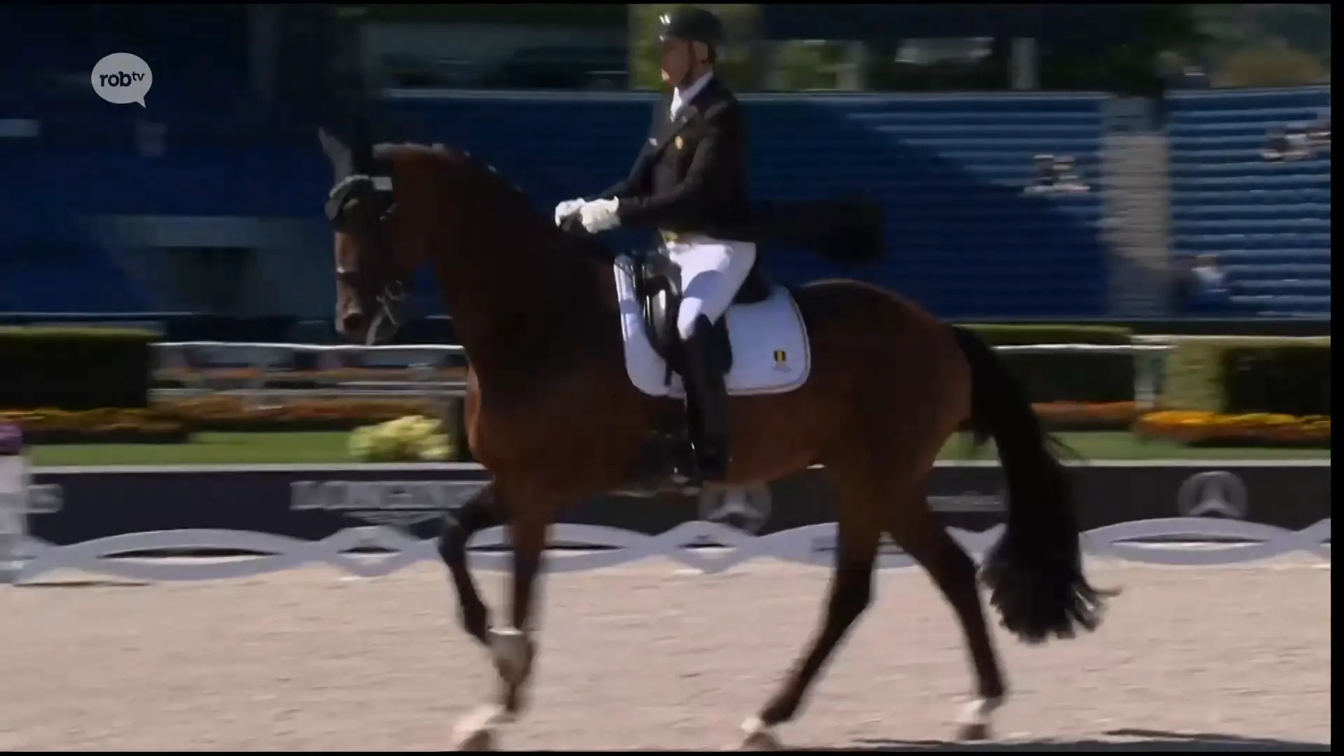 Hoofdafbeelding voor artikel Jeroen Devroe uit Holsbeek…