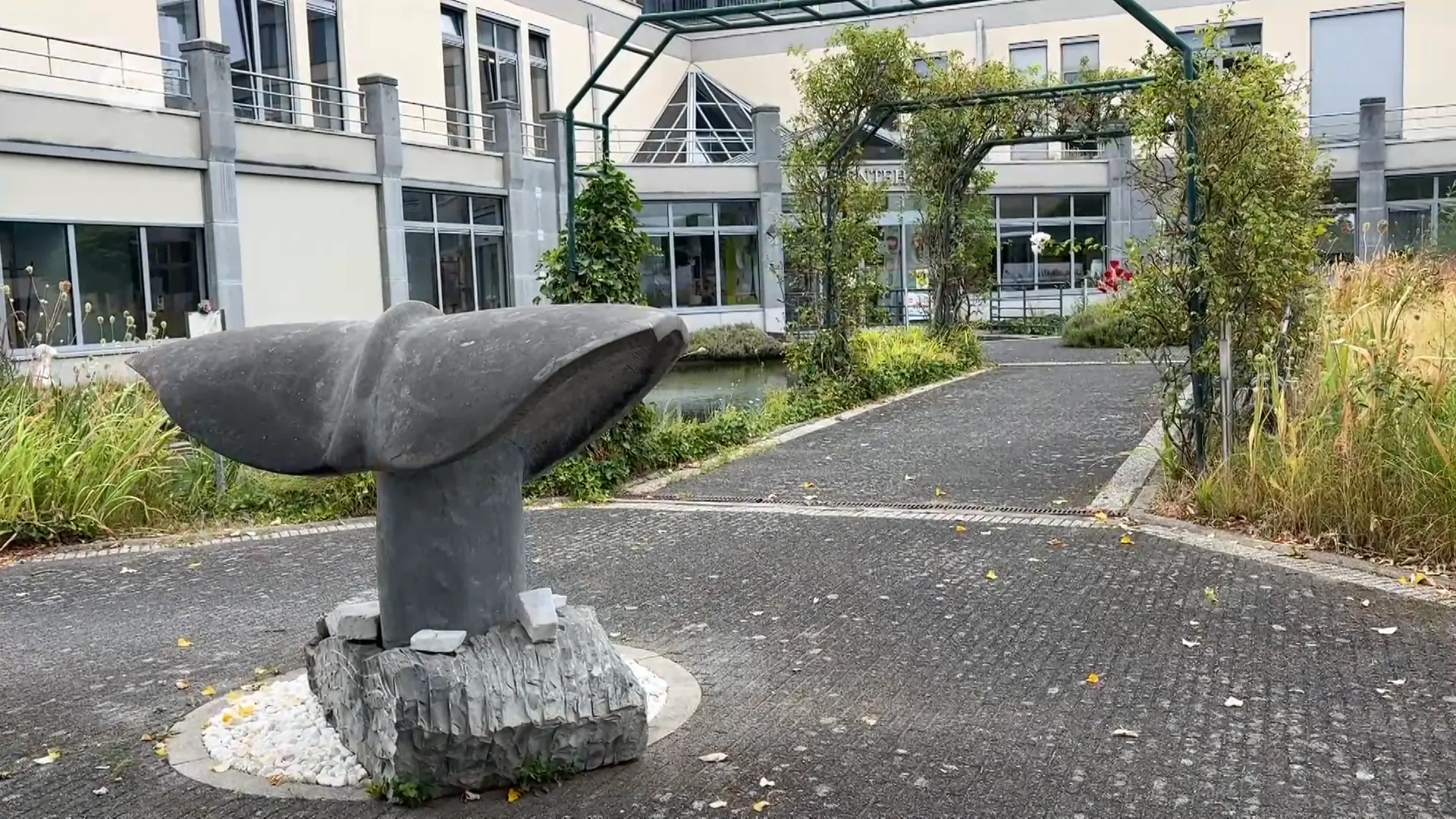 Hoofdafbeelding voor artikel Kunstwerk "The Whale" is verhuisd…