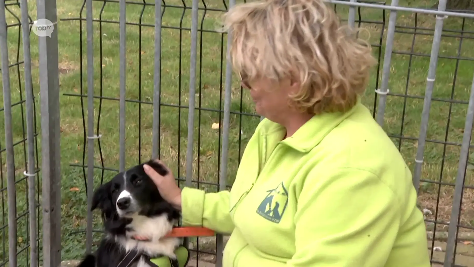 Hoofdafbeelding voor artikel Animal Rescue Service wil…