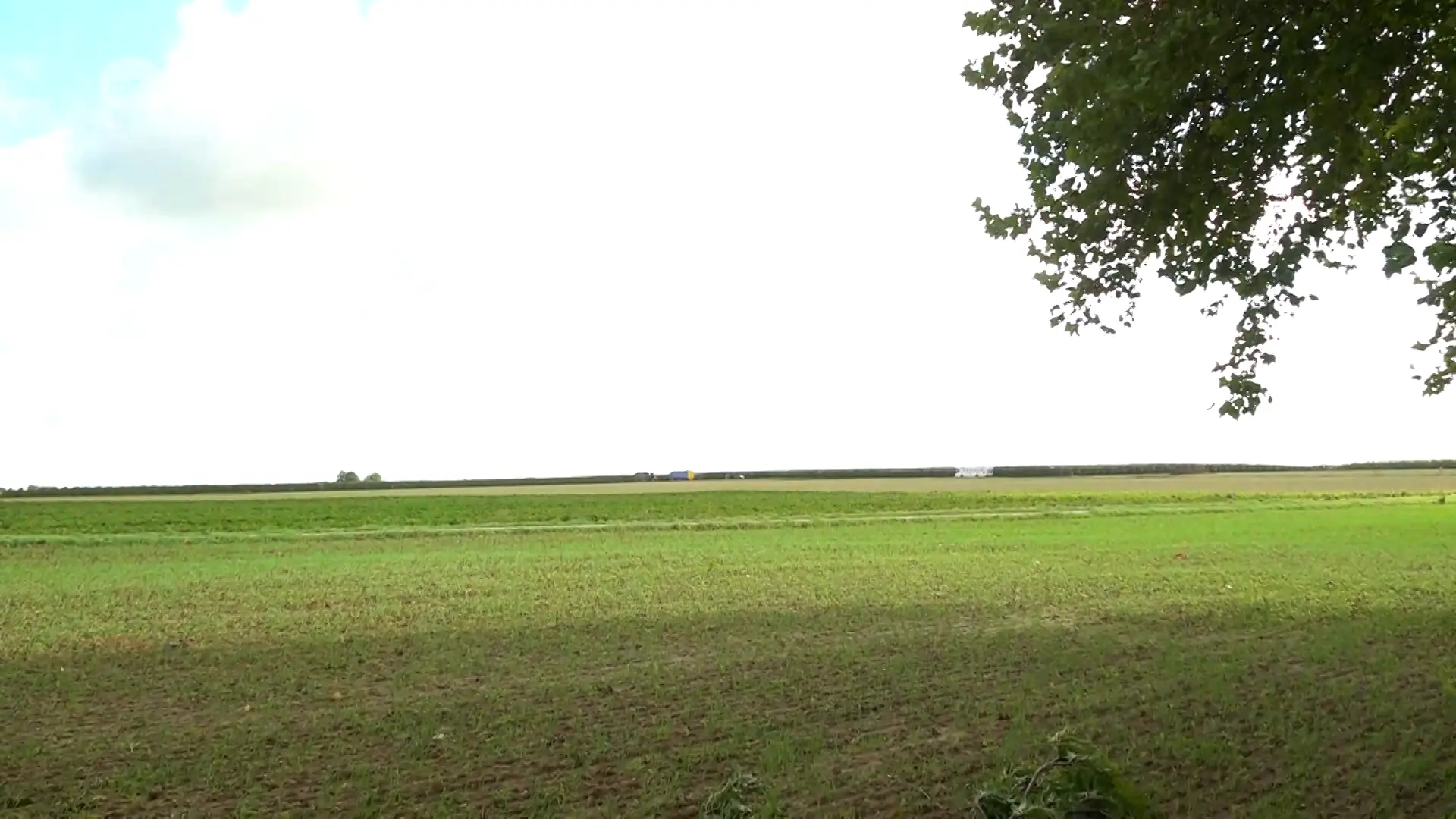 Hoofdafbeelding voor artikel Actiecomit&eacute; tegen windmolens…
