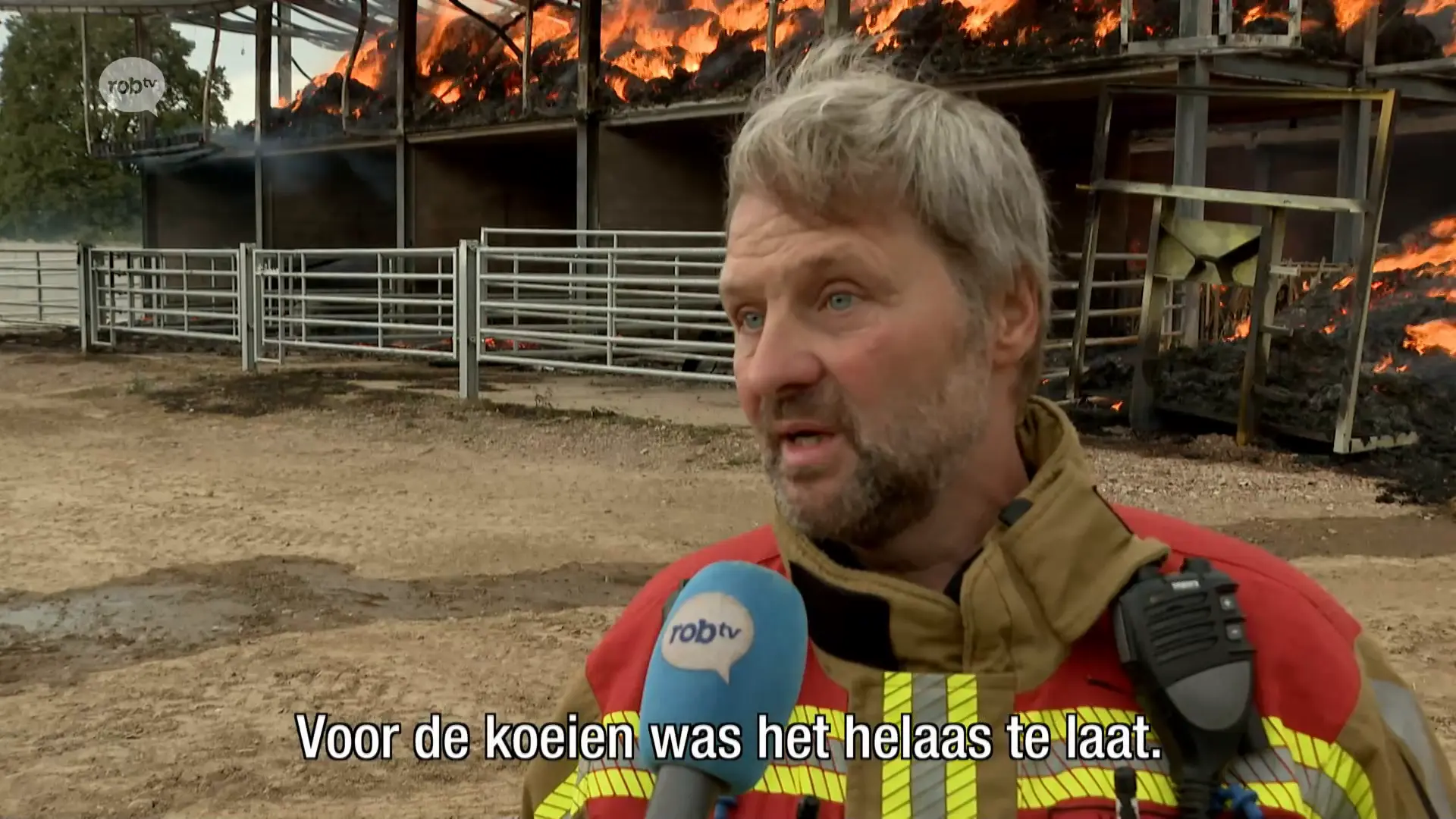 Hoofdafbeelding voor artikel Nieuws donderdag 17 september