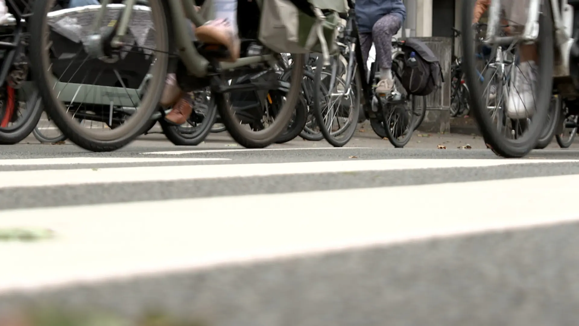 Hoofdafbeelding voor artikel ONTDEK: Wat gebeurt er in…