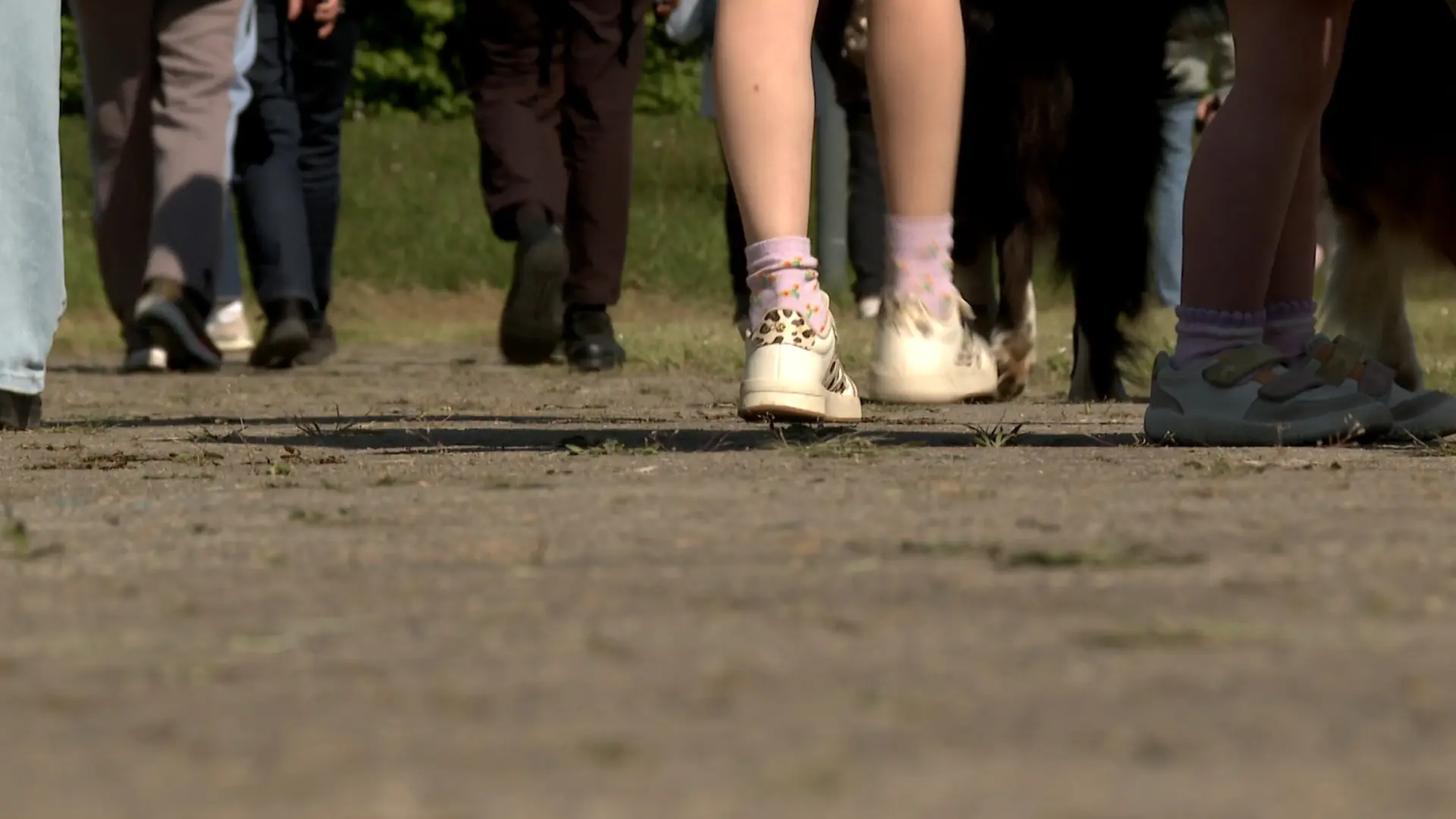 Hoofdafbeelding voor artikel Vlaams-Brabant organiseert…