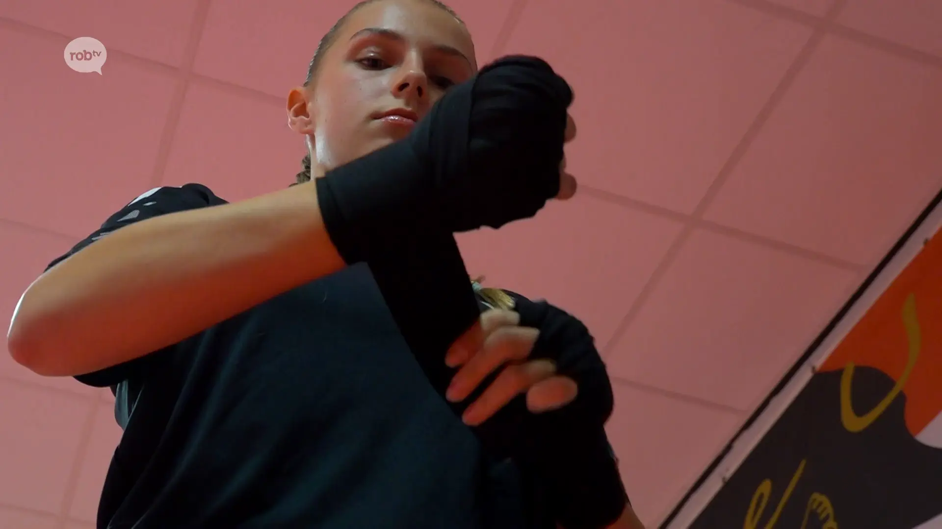 Hoofdafbeelding voor artikel Ayla Everaerts uit Keiberg…
