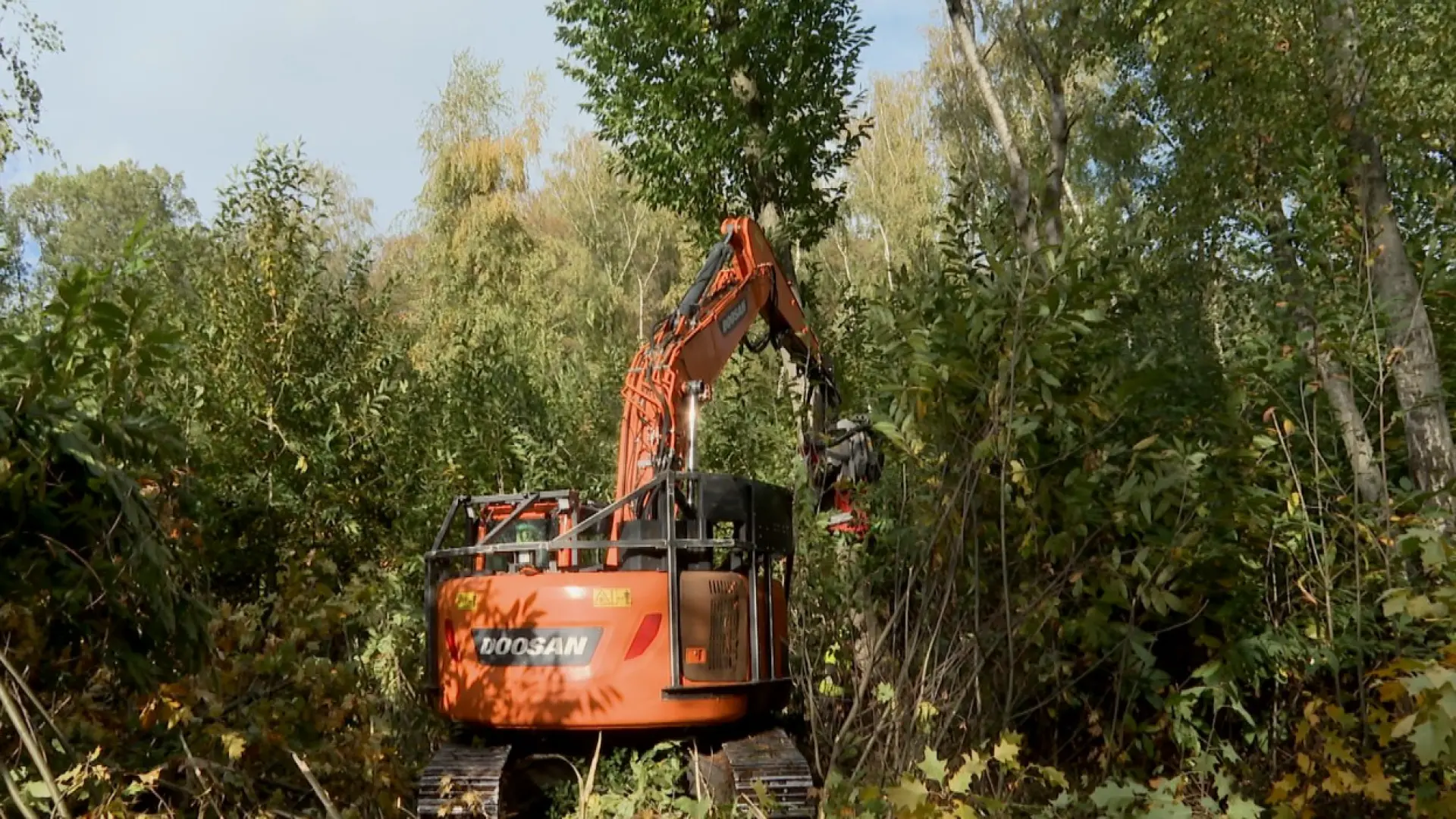 Hoofdafbeelding voor artikel Agentschap Natuur en Bos haalt…