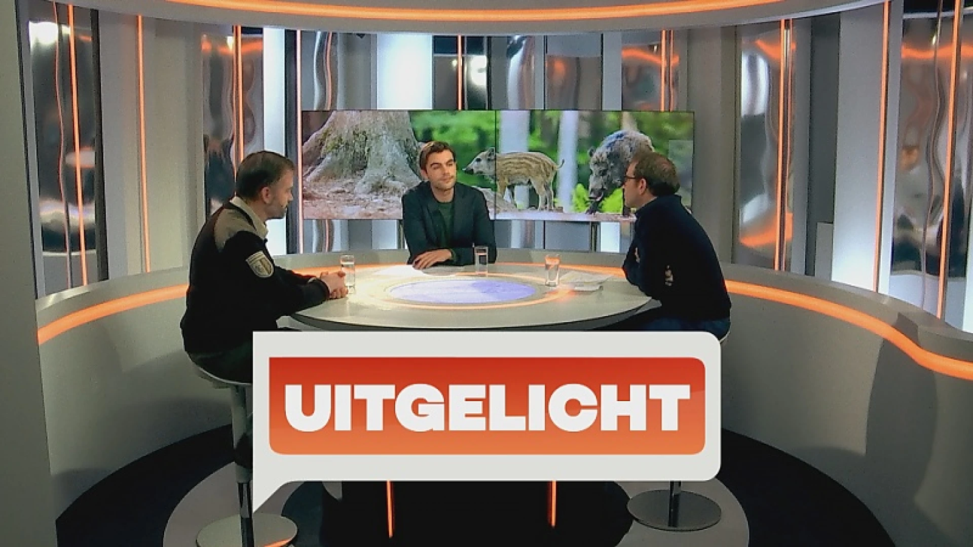 HERBEKIJK: Uitgelicht over record aan everzwijnen in de regio, met Patrick Huvenne (ANB) en Jim Casaer (INBO)