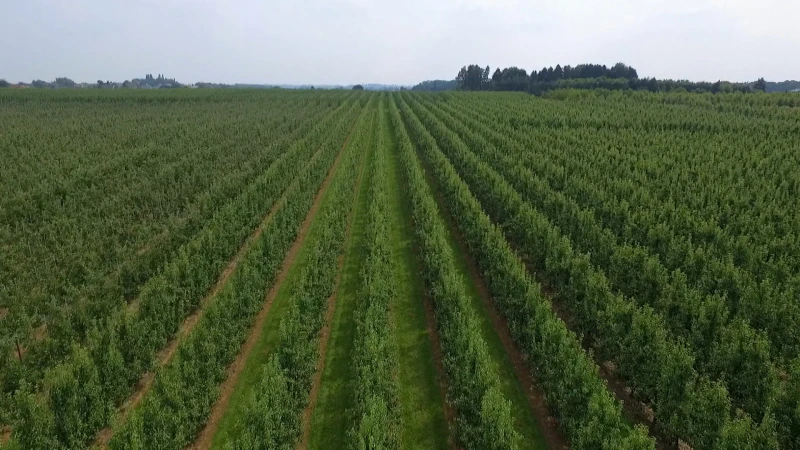 Uit eigen grond:  Aflevering 5