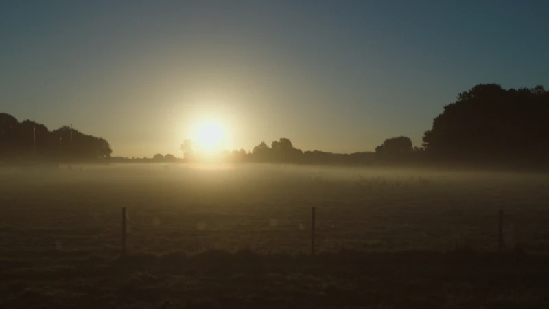 Uit eigen grond:  Aflevering 6
