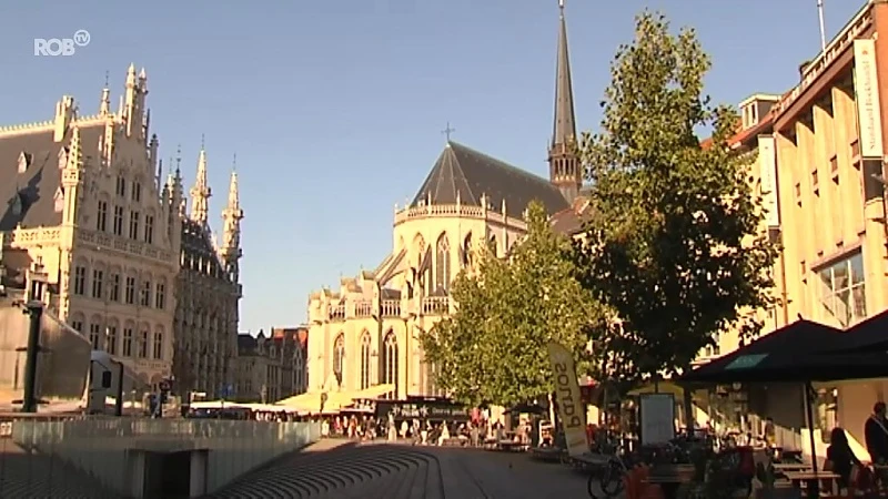 Rector De Somerplein krijgt groener karakter