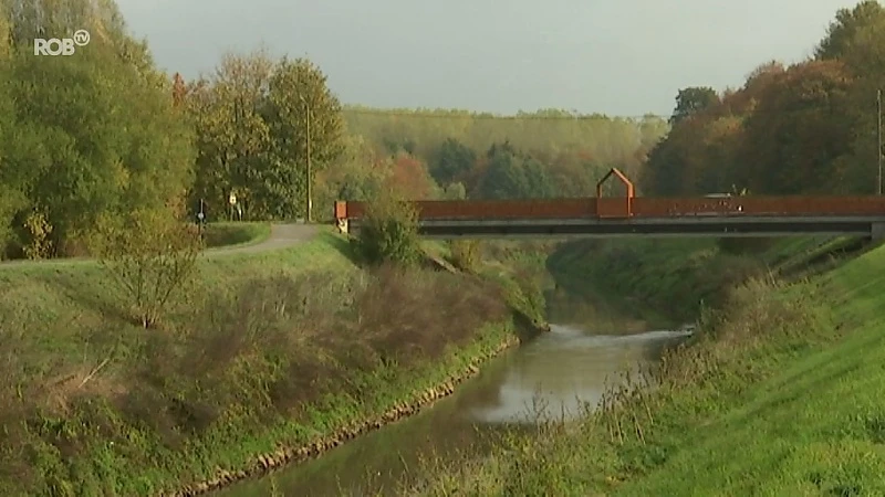 Demer wordt opnieuw een kronkelende rivier